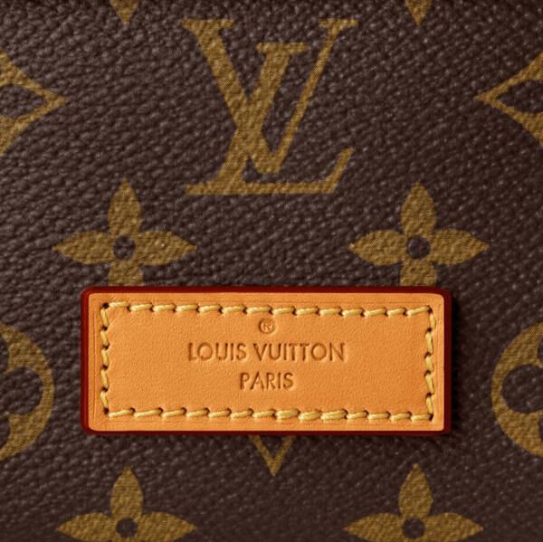 ◇Louis Vuitton ルイヴィトン リュック コピー◇LV◇ソフトトランクLV20100701 メンズバックパック PM